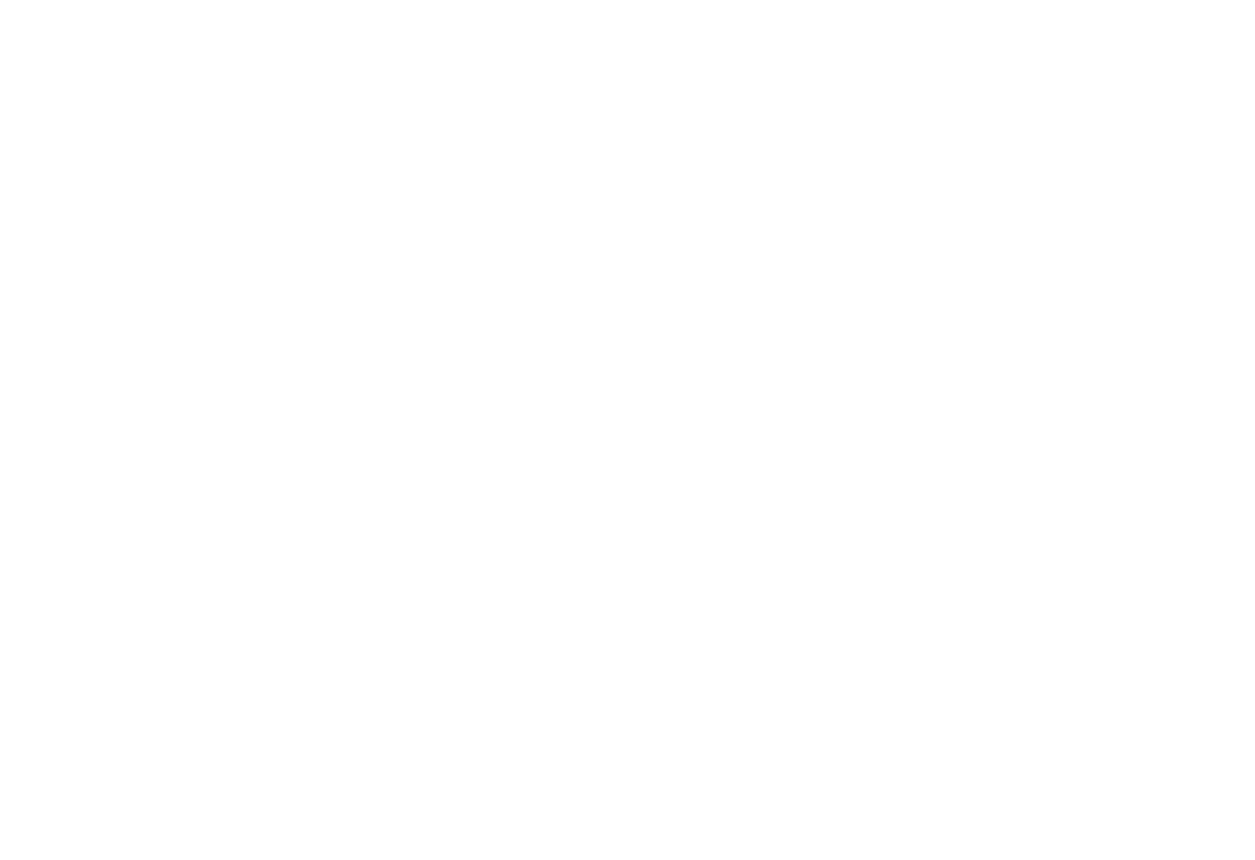 Carrera Accessori
