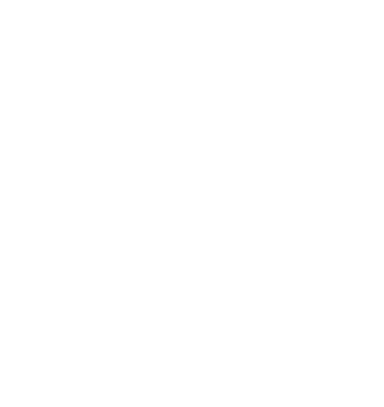 Condifesa Venezia