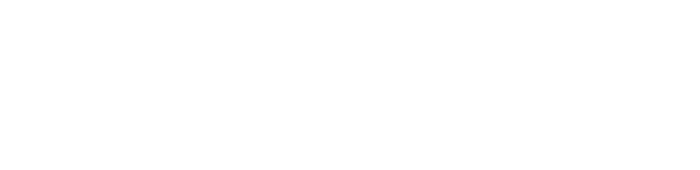 Linea VZ
