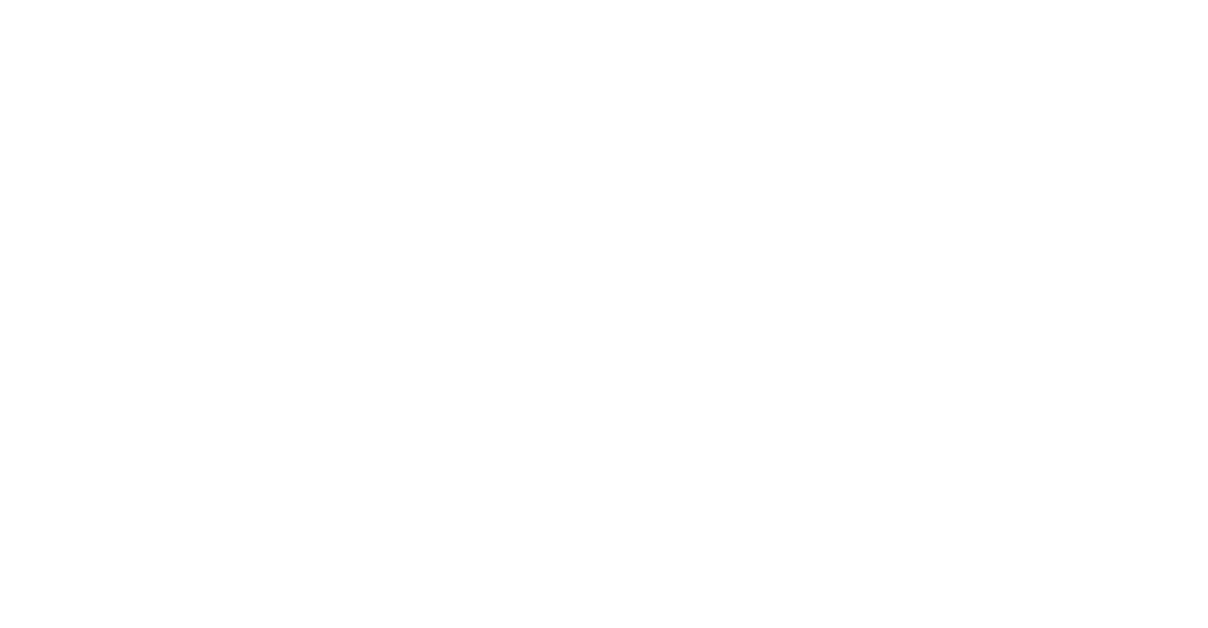 Segafredo Zanetti Coffee System