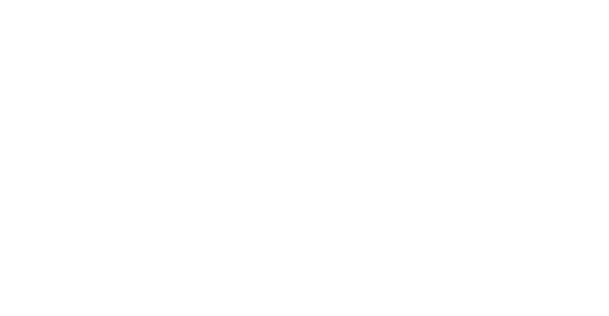 Snaidero