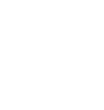 Condifesa Venezia